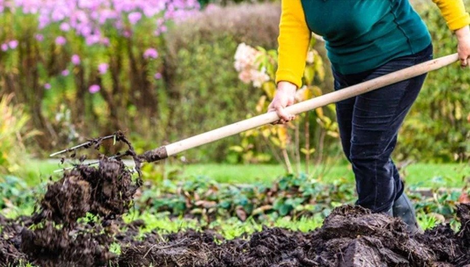 The Benefits of Organic Garden Fertilizer