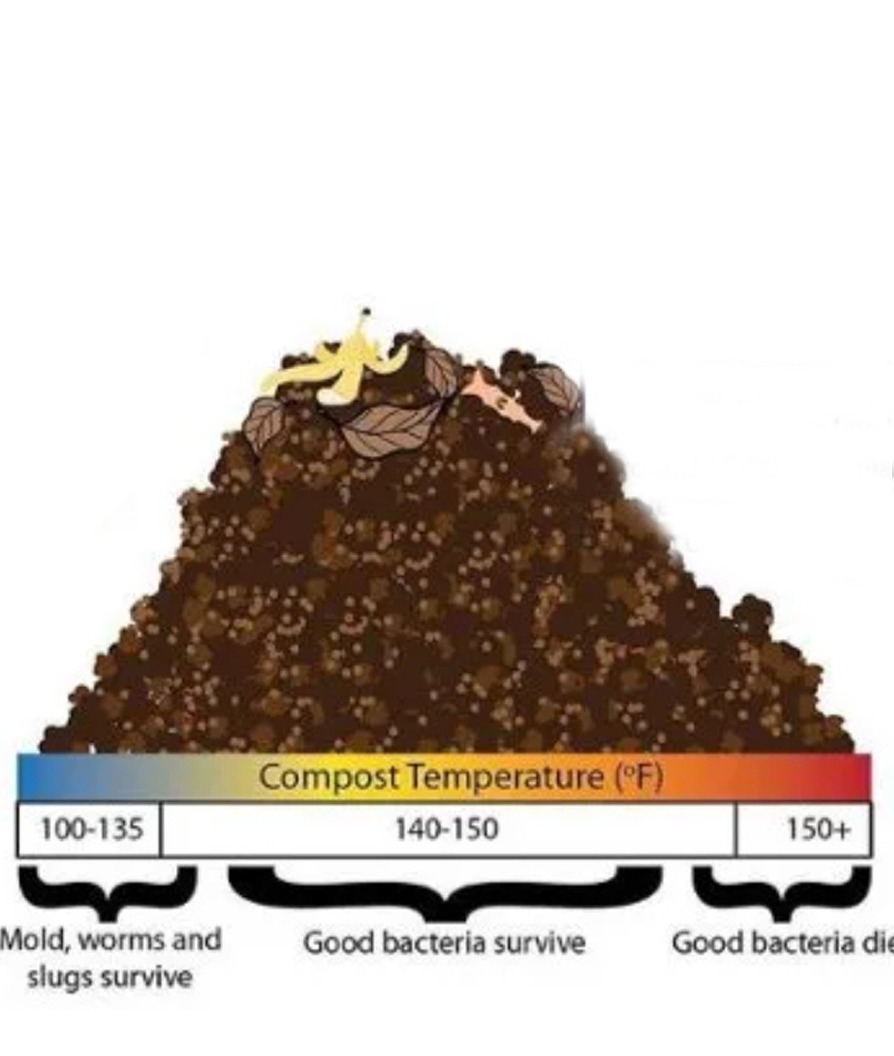 Composting to Reduce Pathogens