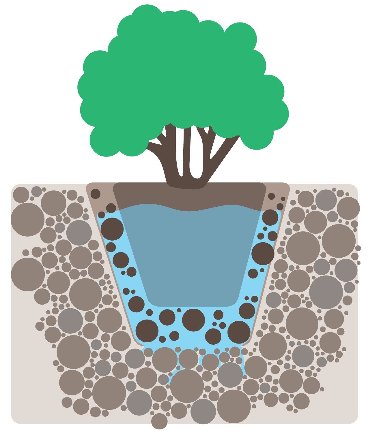 Direct Soil Amendment