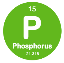 Phosphorus Elements