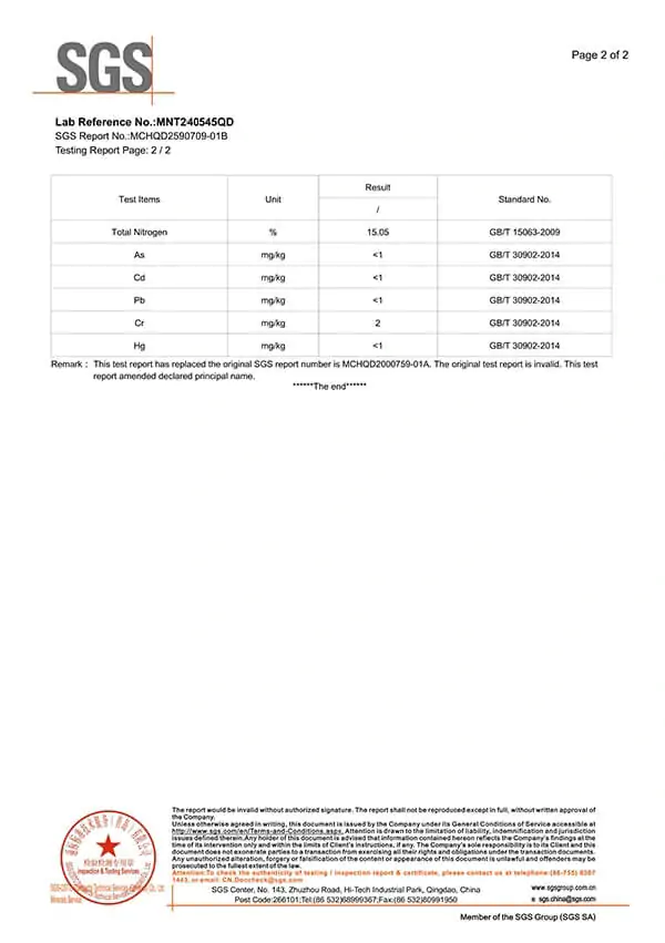 SGS REPORT1