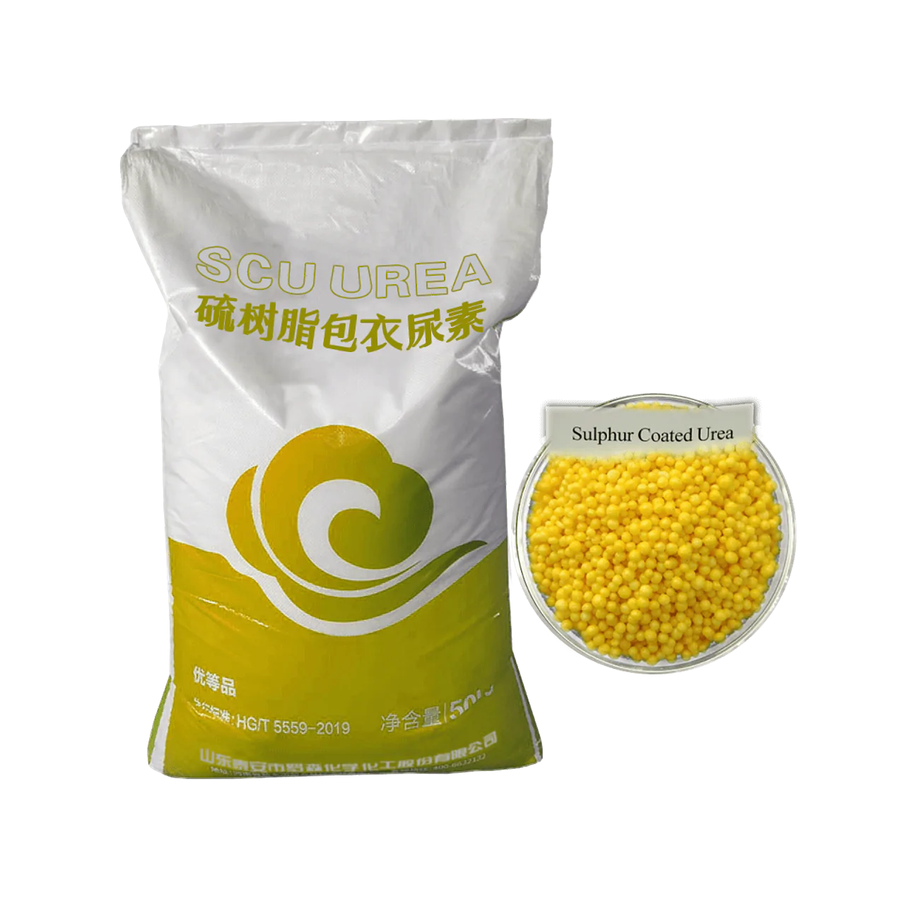Risso's SCU UREA