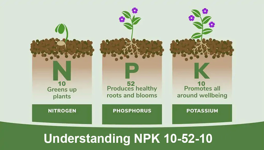 Understanding NPK 10-52-10