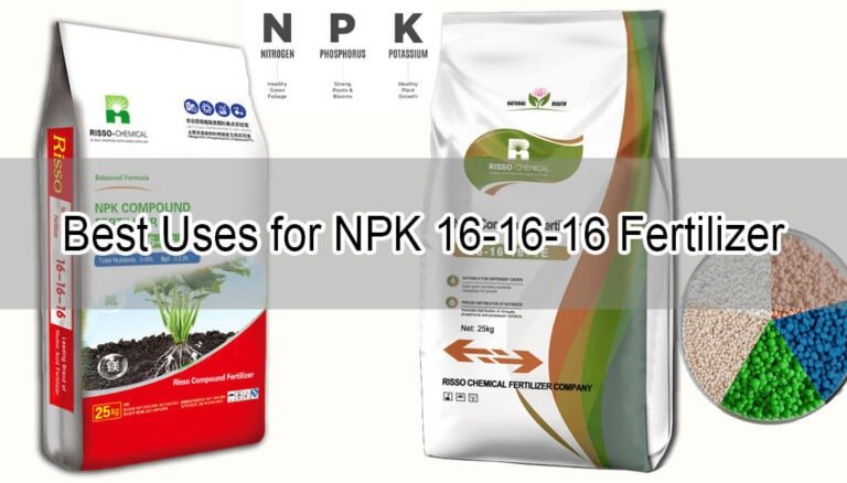 Best Uses for NPK 16-16-16 Fertilizer