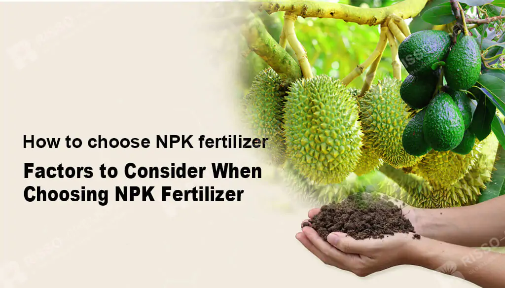 How to choose NPK fertilizer