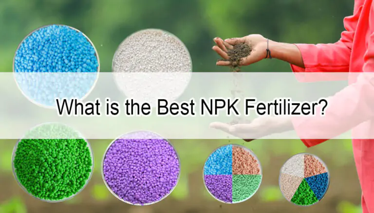 What is the Best NPK Fertilizer