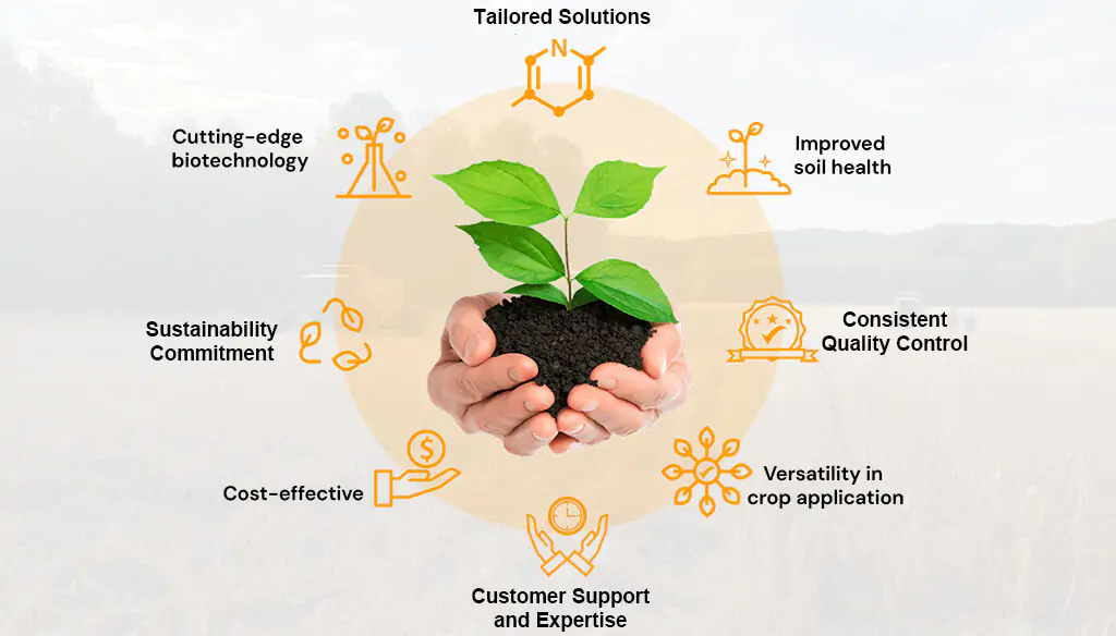 Why Choose Risso NPK Fertilizers