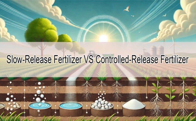 Slow-Release Fertilizer VS Controlled-Release Fertilizer