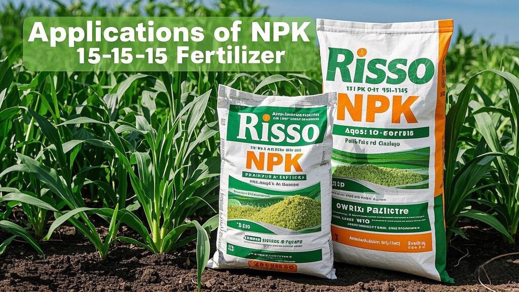 Applications of NPK 15-15-15 Fertilizer