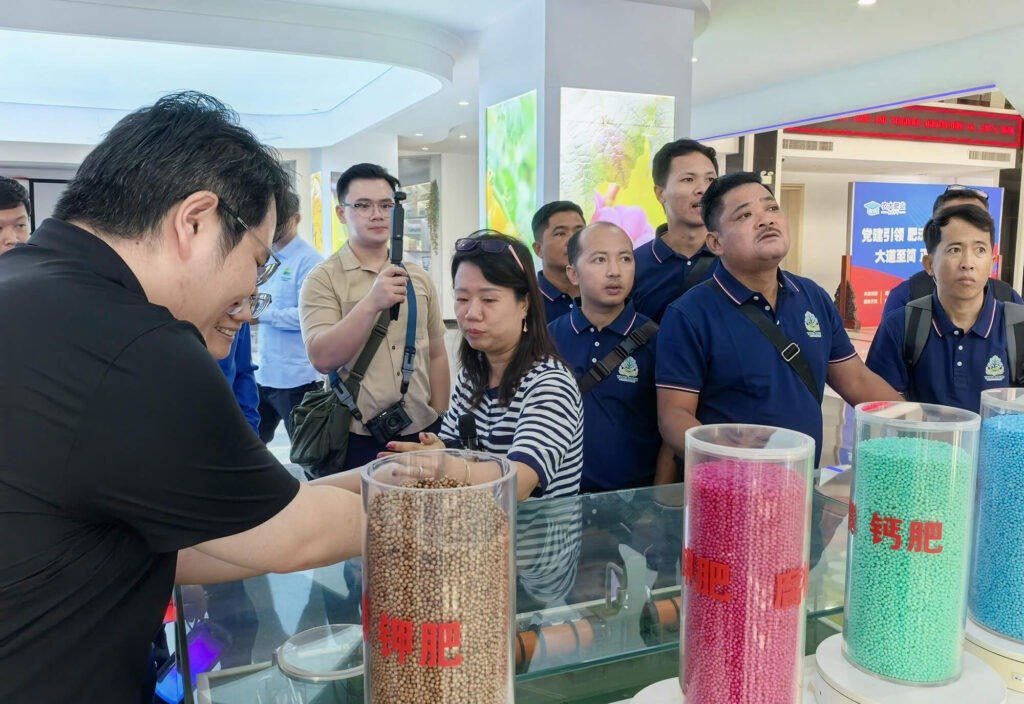 Demonstration of Risso production technology