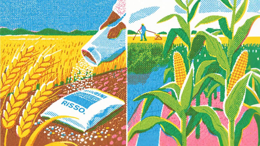 Urea vs Ammonium Sulfate1