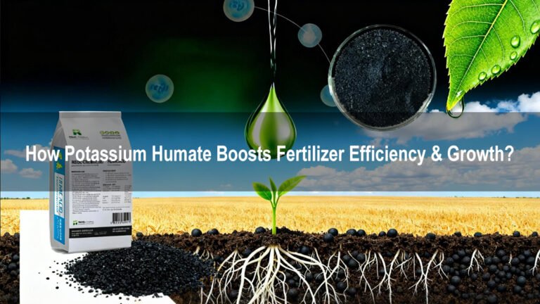 How Potassium Humate Boosts Fertilizer Efficiency & Growth1